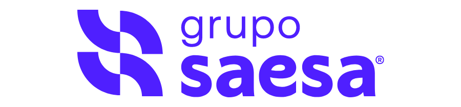 Grupo Saesa