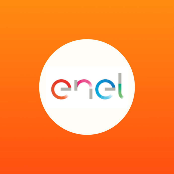 Enel Distribución